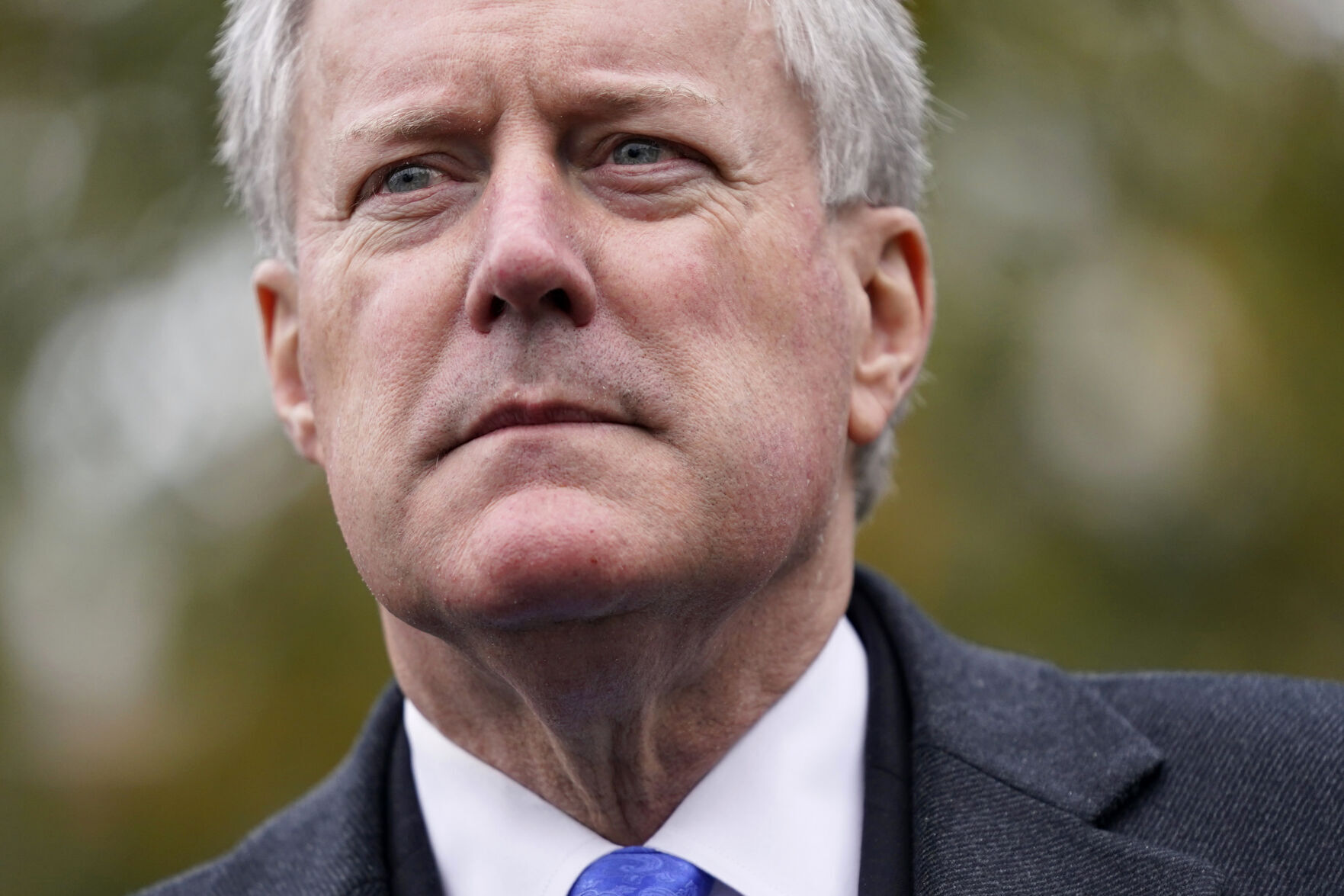 Capitol Breach Contempt